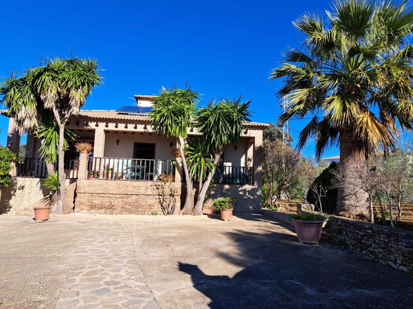 Вилла Casa Albarracin Setenil De Las Bodegas Экстерьер фото